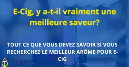 E-Cig, y a-t-il vraiment une meilleure saveur?