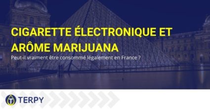 Cigarette électronique et arôme marijuana : peut-il vraiment être consommé légalement en France ?