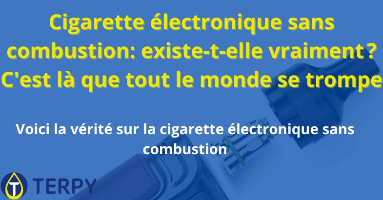 Cigarette électronique sans combustion