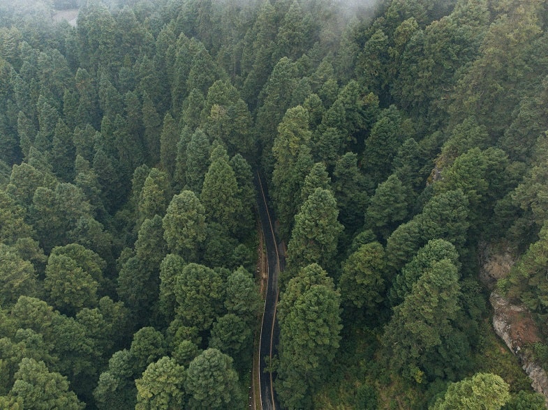 Réduction de l'impact environnemental